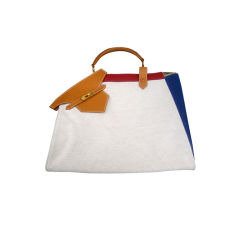 Hermes Special Edition Tricolor Toile Bag