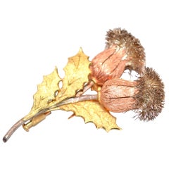 Buccellati Gold Thistle  brooch