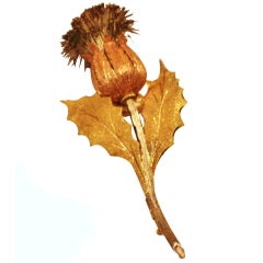 Buccellati Gold Thistle  brooch