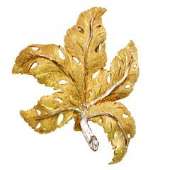Buccellati Gold leaf Brooch