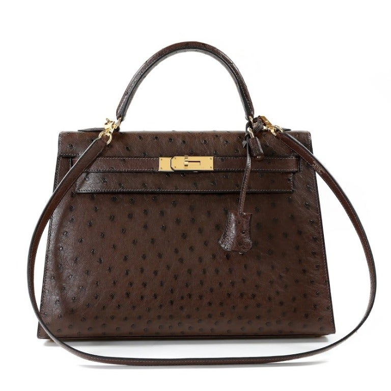 Hermes Chocolate Ostrich Kelly Bag In Excellent Condition In Malibu, CA