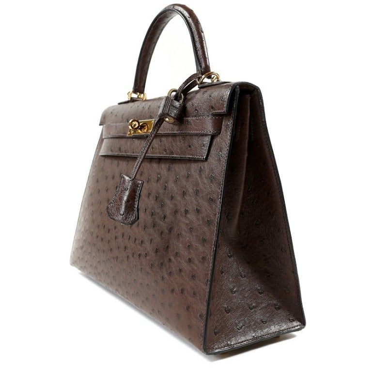 Women's Hermes Chocolate Ostrich Kelly Bag