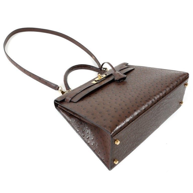 Hermes Chocolate Ostrich Kelly Bag 1