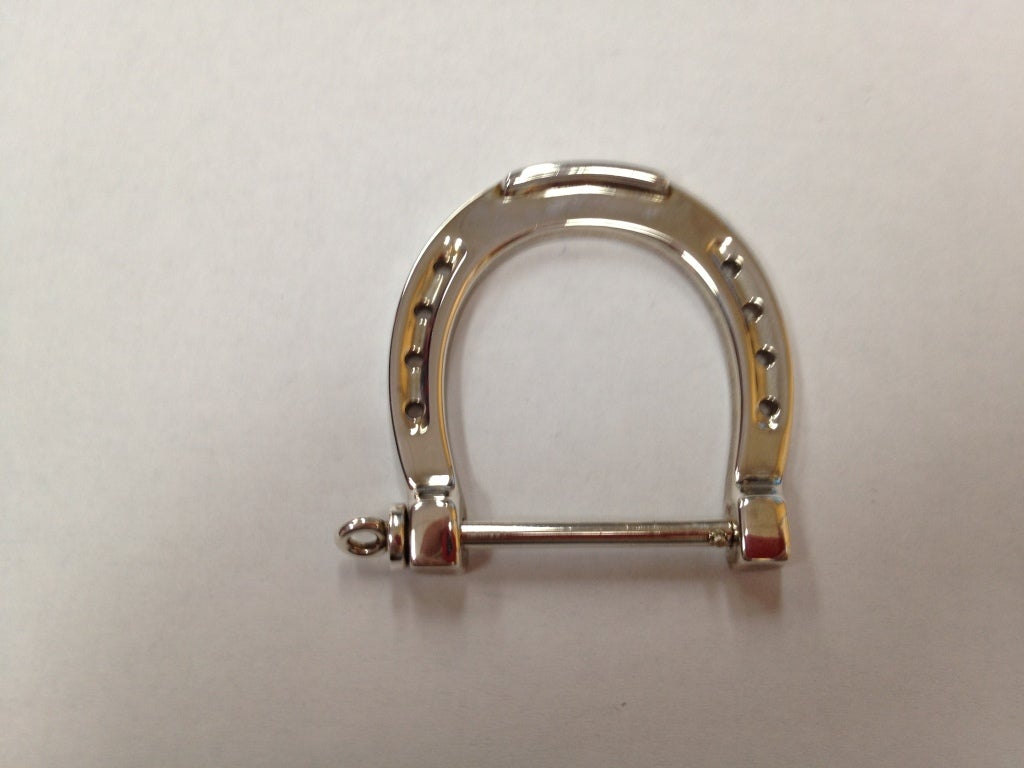 horseshoe jewelry holder