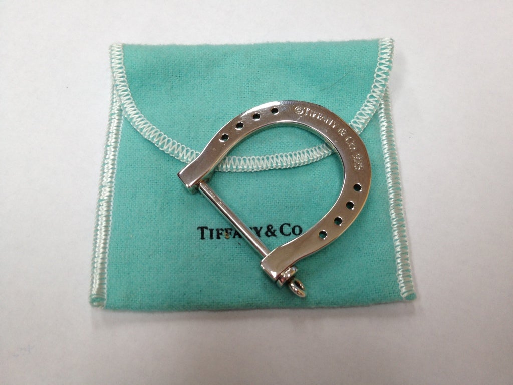 horseshoe necklace holder