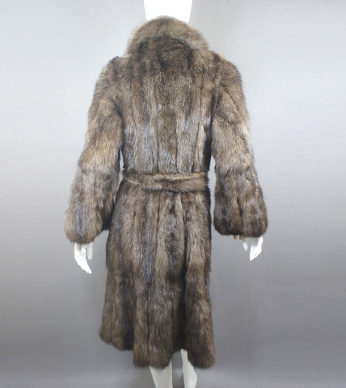 sobol russian sable