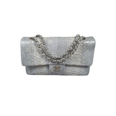 CHANEL Limited Edition Icy Silver Python 2.55 Double Flap Handba