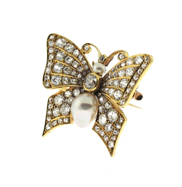 Turn of the Century Butterfly Pin