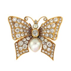 Antique Turn of the Century Butterfly Pin