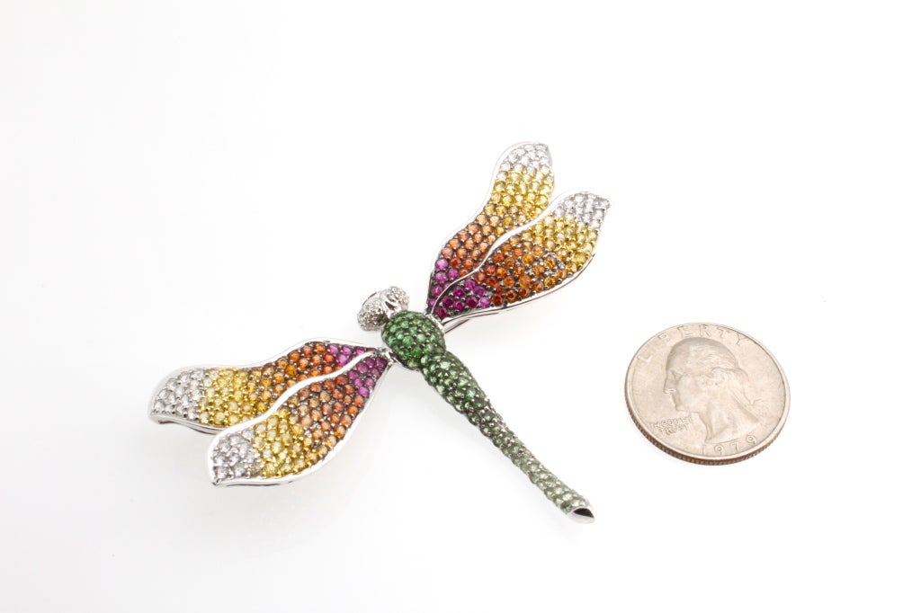 Fanciful dragonfly pin in colored sapphires, rubies, diamonds and garnet all set in 18 karat white gold.
