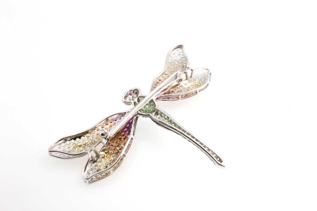 Women's Darling Dragonfly in Dazzling Colored Stones