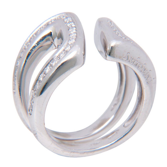 antonini ring