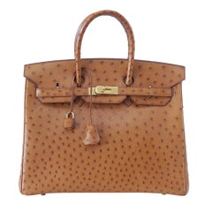 HERMES BIRKIN 35 COGNAC Matériel en or d'autruche avec plastique