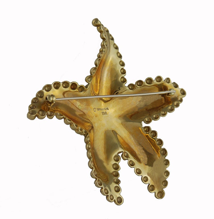 Tiffany 18K figural star fish pin. Satin finish with polished gold bead boarder.<br />
Great movement and diamension<br />
2 1/2