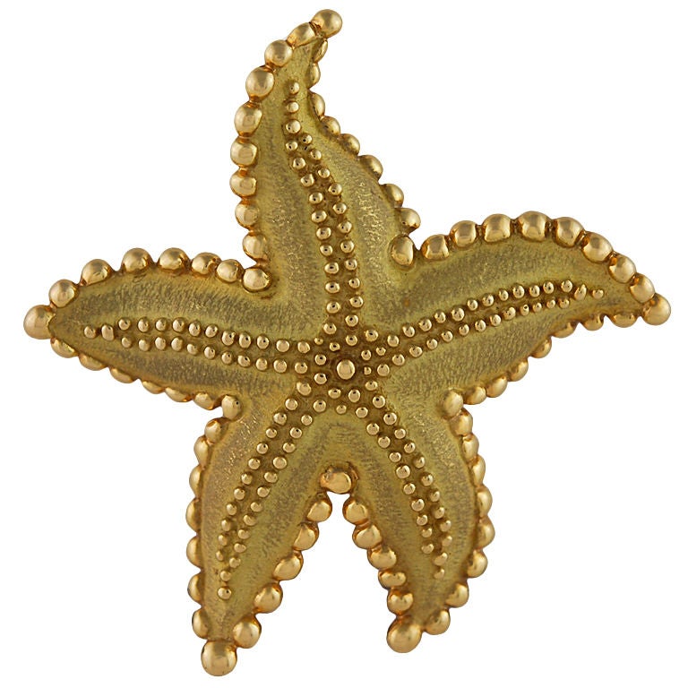Tiffany 18K Figural Star Fish Pin