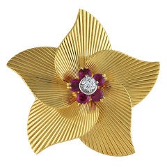 TIFFANY & CO Shrimped Gold Ruby and Diamond Clip
