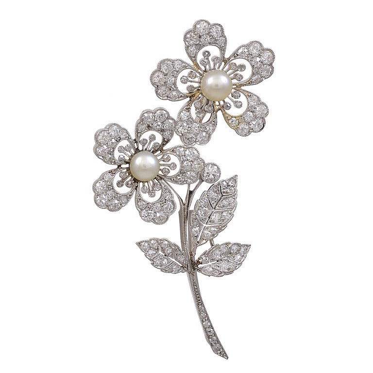 Edwardian Platinum Flower Brooch