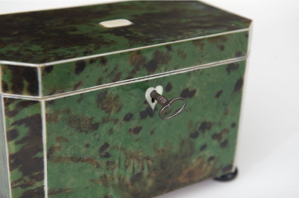A Rare Late 18th c. English Exotic Green Tortoiseshell Tea Caddy In Excellent Condition In San Francisco, CA