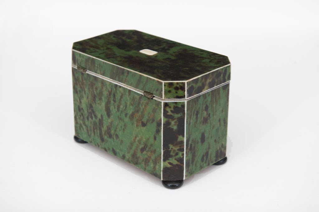 18th Century and Earlier A Rare Late 18th c. English Exotic Green Tortoiseshell Tea Caddy