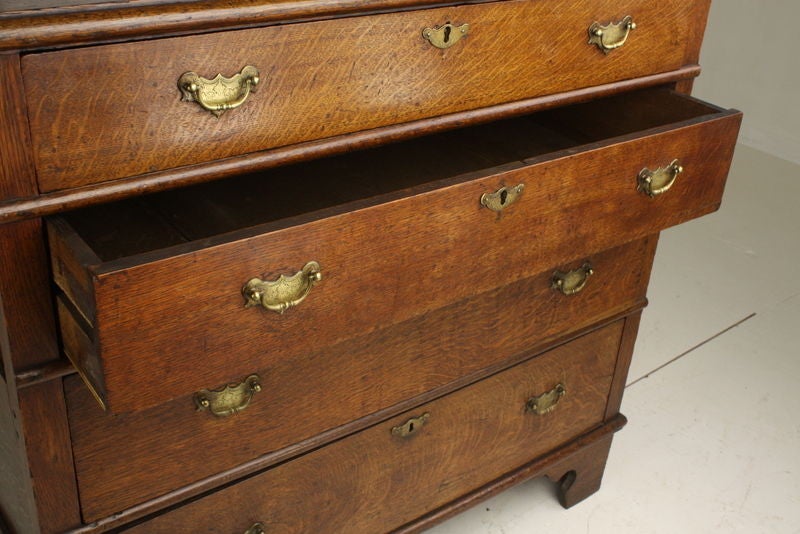 Georgian 18th Century Welsh Chest of Drawers