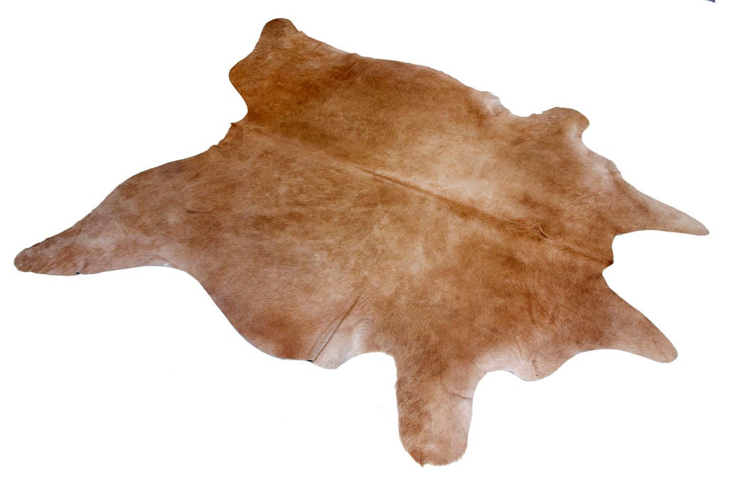Cowhides from Argentina, which look great layered together on the floor as rugs.  Size listed is the general size of each hide, but sizes may vary by a few inches.