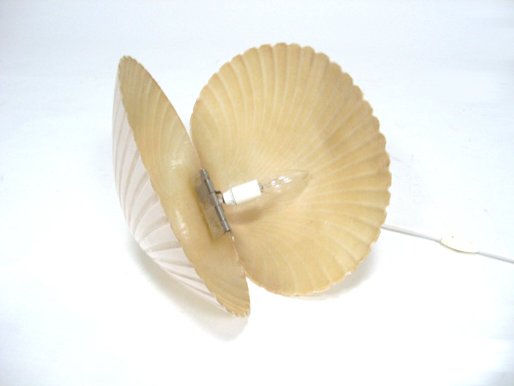 Andre Cazenave shell table lamp by Atelier A *Saturday Sale* In Good Condition In Highland, IN