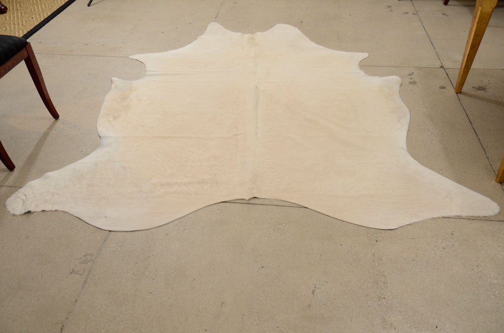 20th Century Rare All Natural White Cowhide Rug