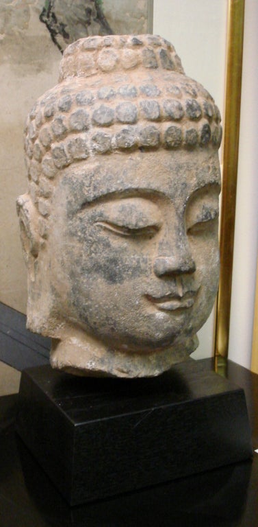 A fine Tang dynasty 618 - 907 gray stone head of Buddha, benevolent expression, beautiful patina, head: 7