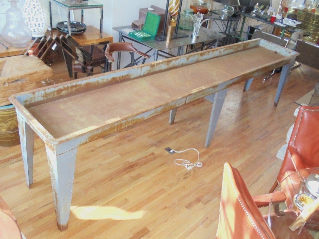 An exceptionally long metal industrial sink or table.Would be great in the garden.