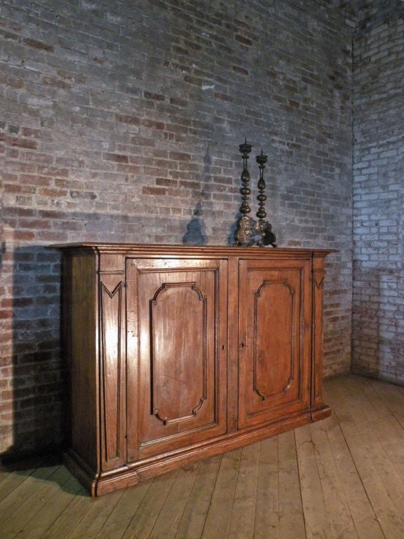 Italian 18th century neoclassical Cabinet or Large Credenza In Good Condition For Sale In Troy, NY