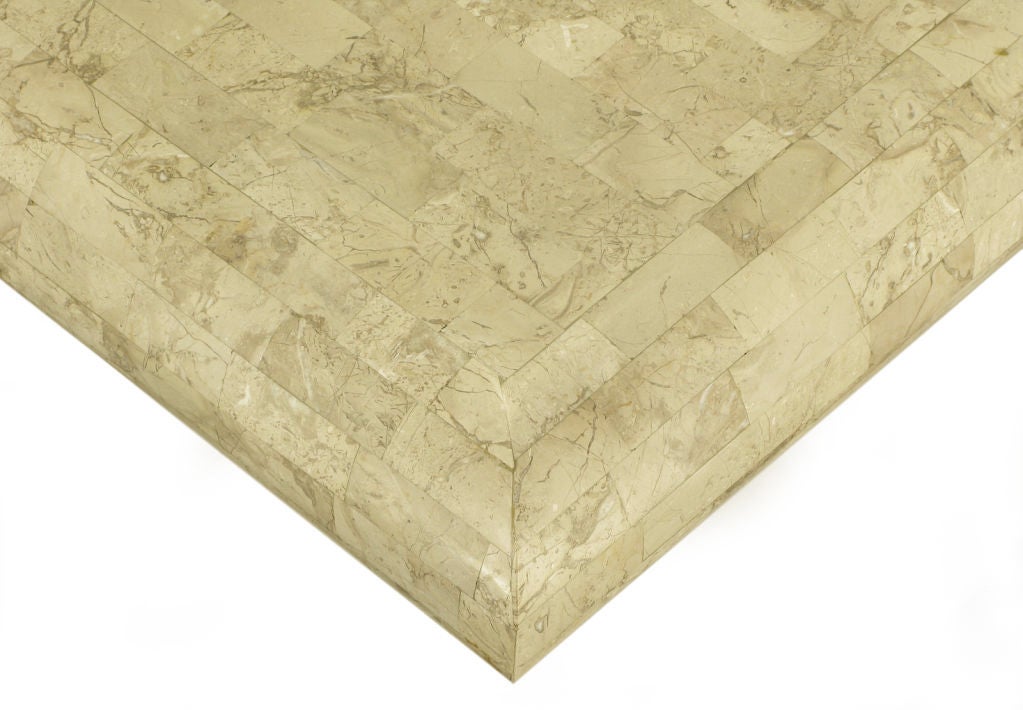 Tessellated Fossil Stone Pedestal Coffee Table 3