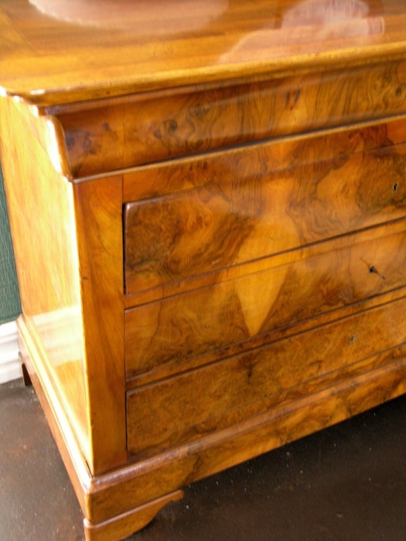 French Louise Philippe Burl Walnut Commode For Sale