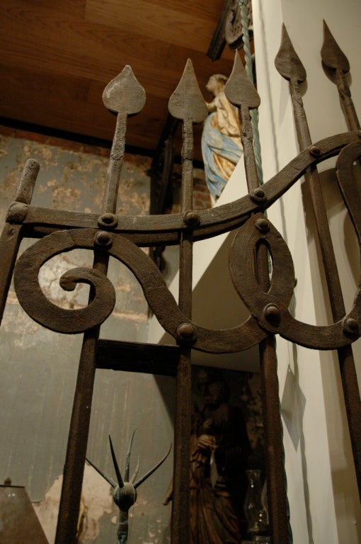 Iron Gates from a Famous Venetian Palazzo For Sale