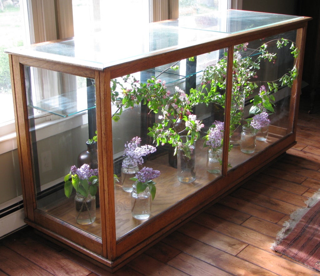 Turn of the Century Oak Display Cabinet-Counter In Good Condition In New York, NY