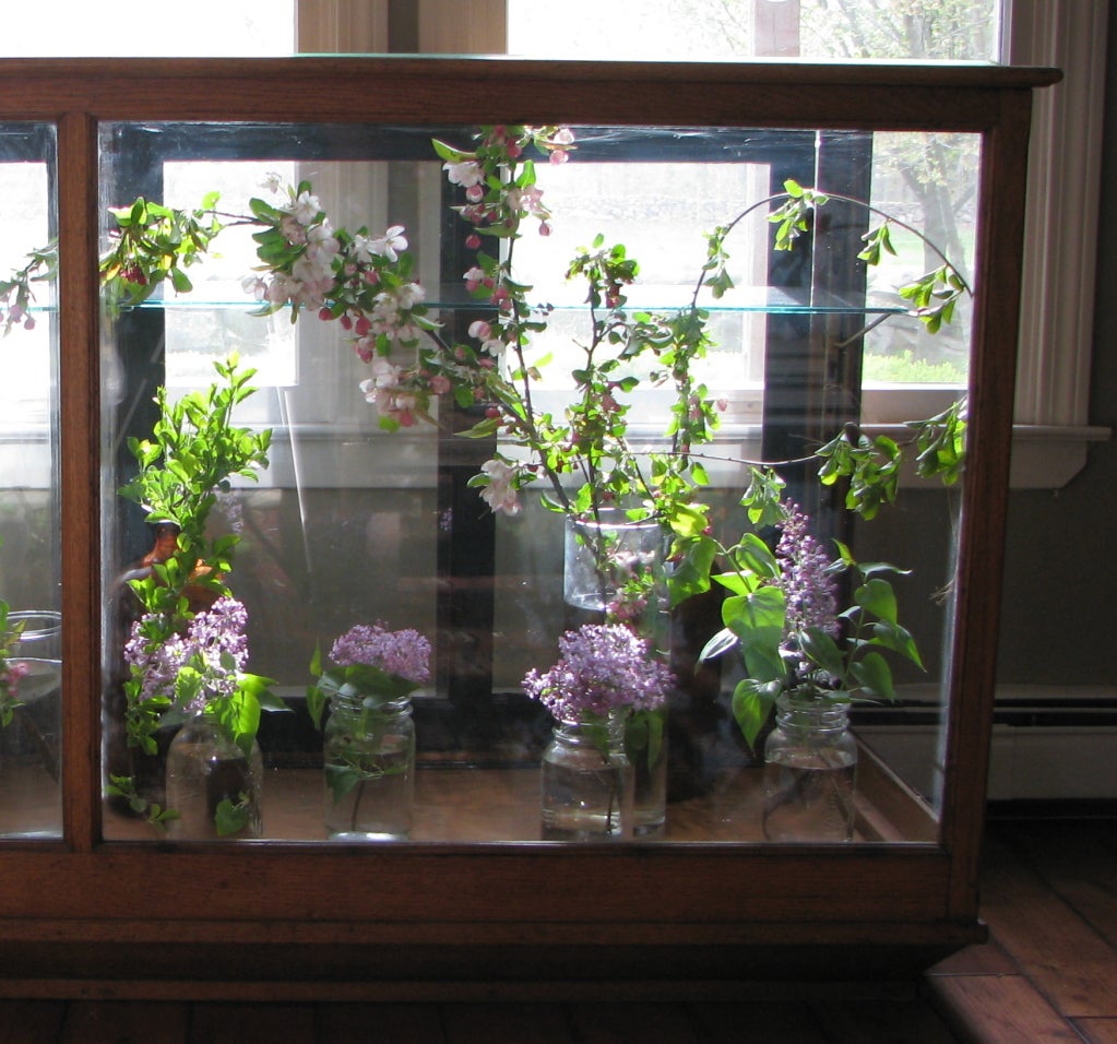 Turn of the Century Oak Display Cabinet-Counter 1