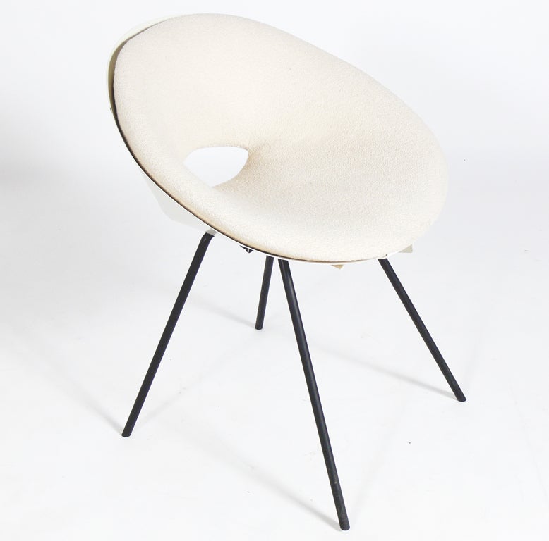 donald knorr chair