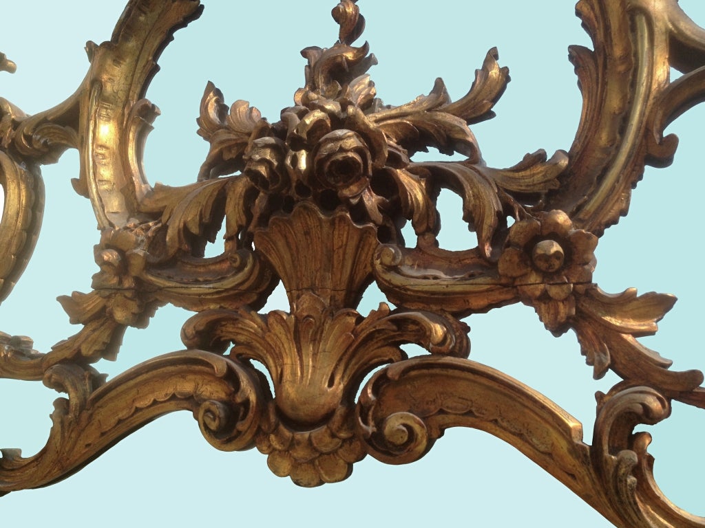 French Extraordinary Gold Gilt and Carved Wood European Mirror
