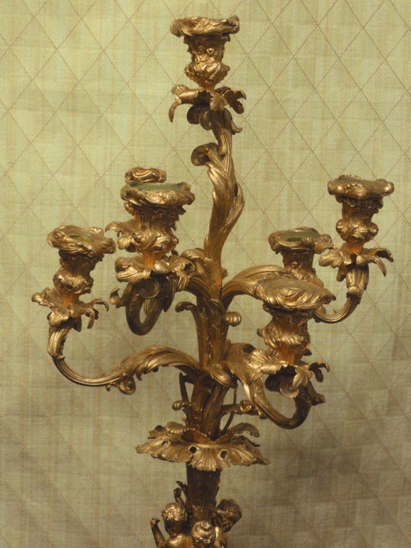 French Large Scale Louis XVth Style Bronze Doré Seven Arm Candelabra For Sale