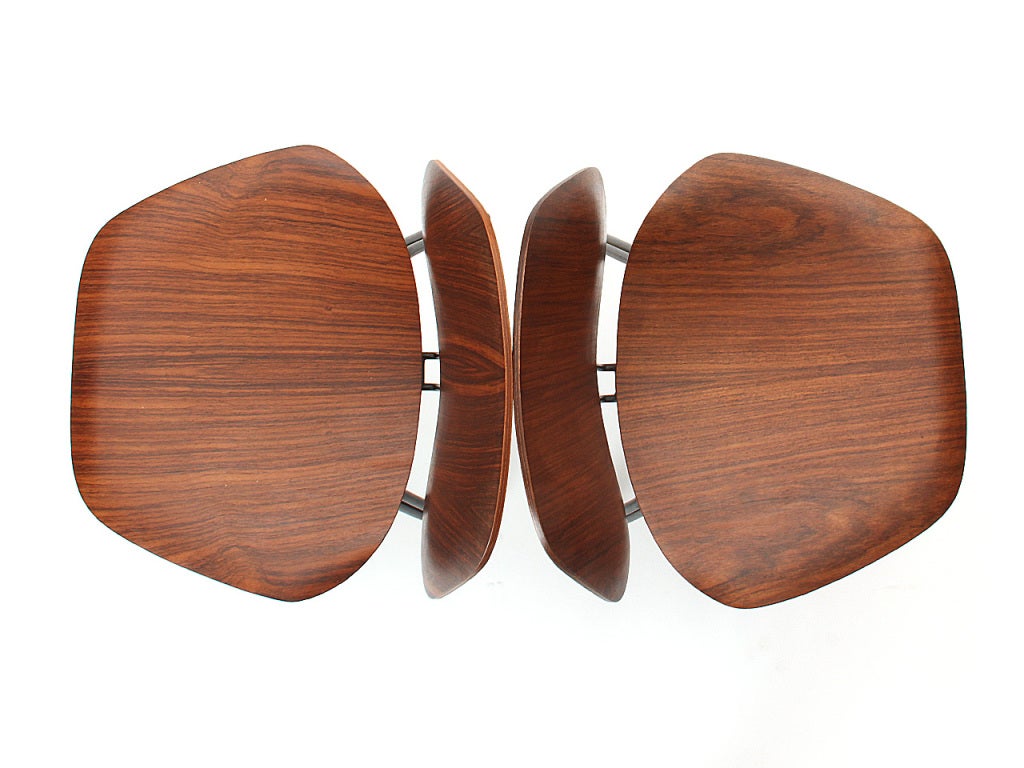 Plywood P-31 Chairs by Osvaldo Borsani For Sale