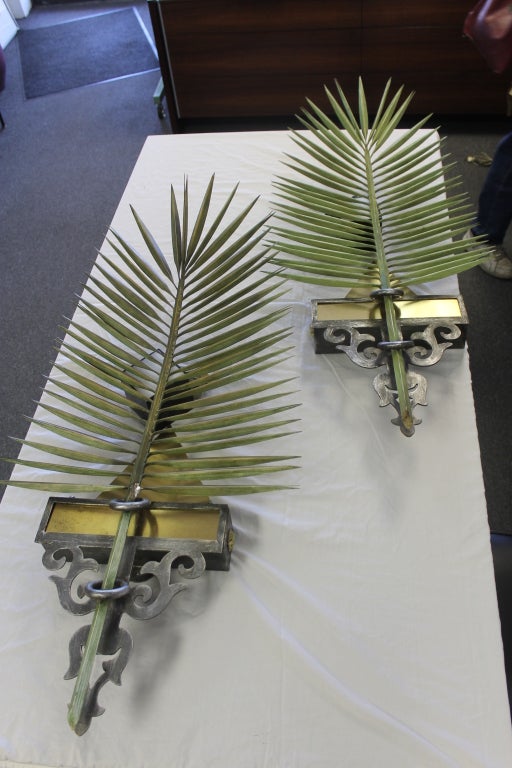 Palm Frond Wall Sconces 3