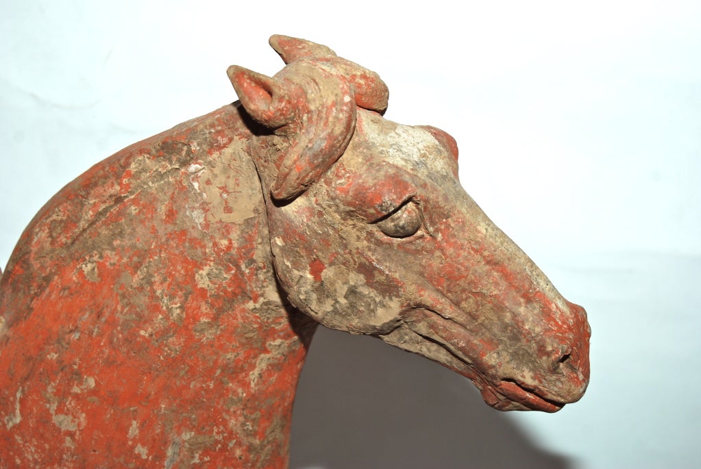 Tang Dynasty Horse