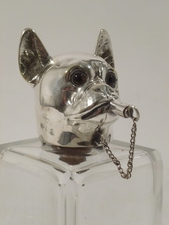Pair Austrian Square Glass Novelty Decanters with Silver Plate Stoppers in the form of Dogs Heads with glass eyes. One stopper is a comical French Bulldog, the spout is in form of a cigarette - the other is a hunting hound.
The back of one head