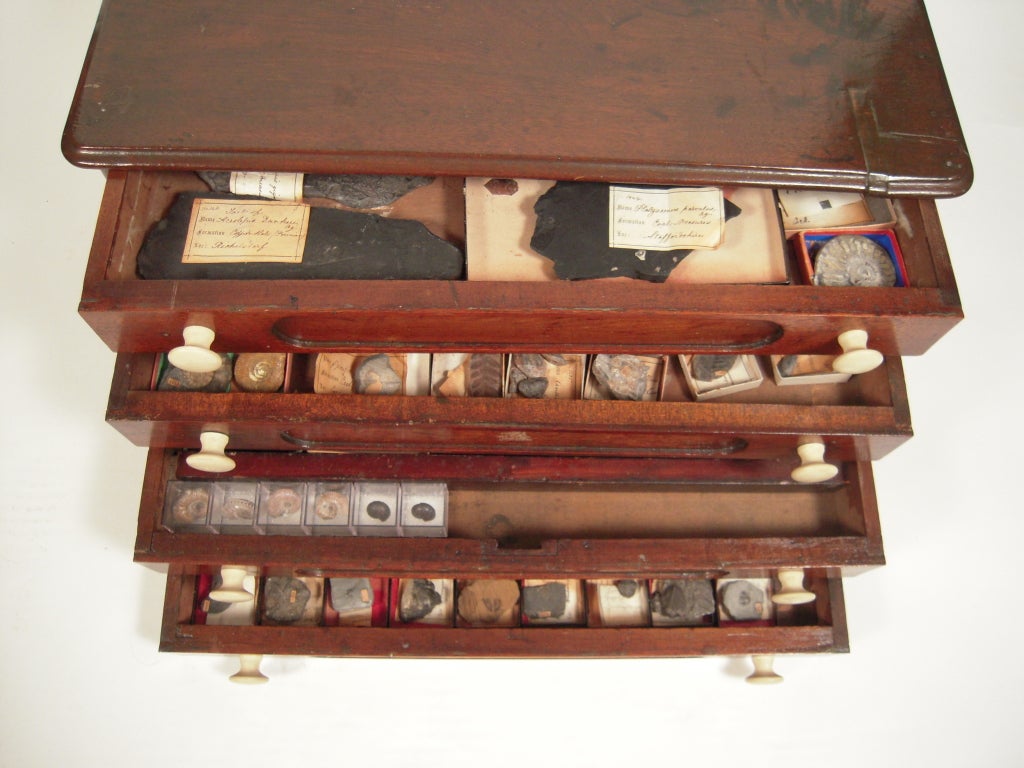A walnut four-drawer spool cabinet with a wide array of fossil and rock specimens,  largely from the United Kingdom and Europe, including problematicas, trilobites, brachiopods, ammonites, plants, and fish, most specimens accompanied by Bryce