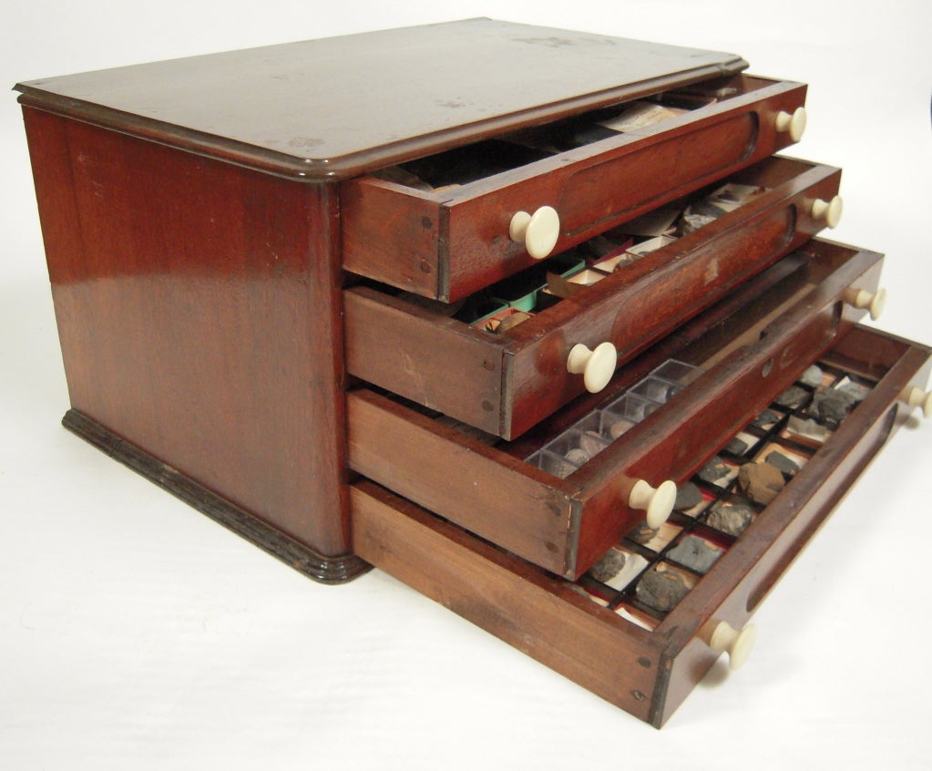 19th C Collector's Rock and Fossil Specimen Collection 5