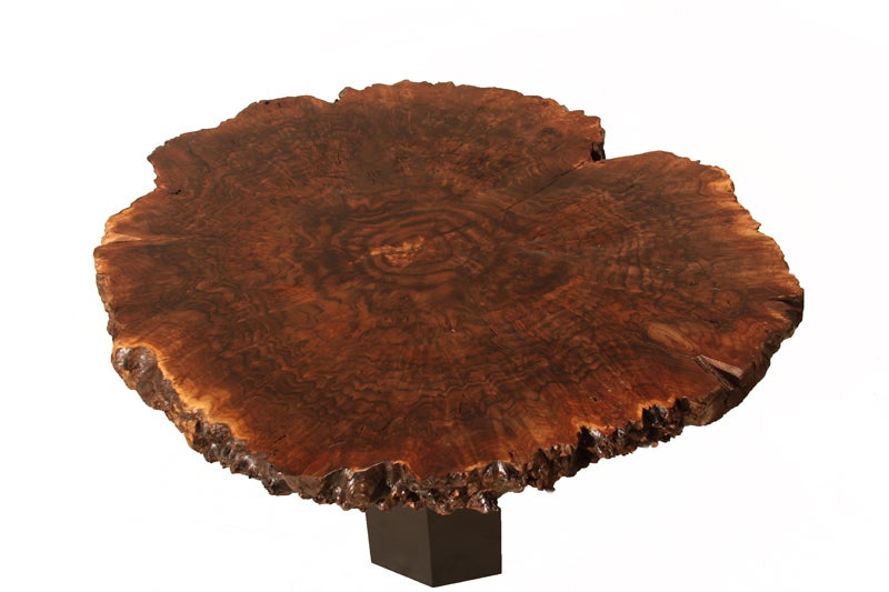 American Custom Walnut Burl coffee table with angular metal base by Thomas Hayes Studio