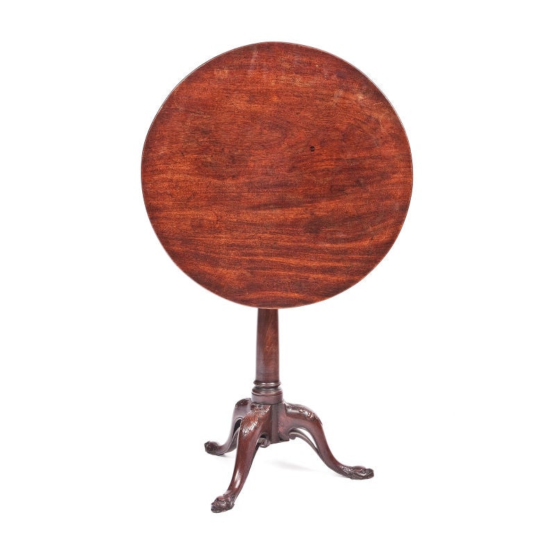 George III mahogany circular tip up table raised on ring turned gun barrel shaft and tripod acanthus carved cabriole legs and feet in the form of mythical beast heads. Raised in height at a later date.