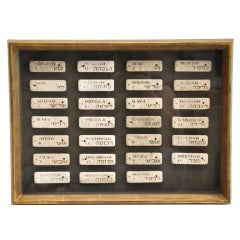 19th Century Set of Torah (Hebrew) Markers Framed in Giltwood Frame-Judicah 1