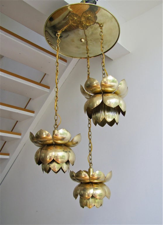 Very large 3 light brass lotus chandelier imported by the Feldman company, Los Angeles. Newly rewired. Each lotus 11