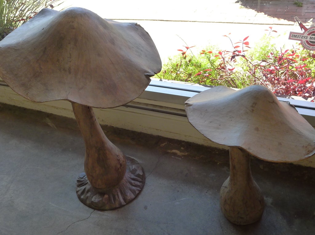 Pair of French Poplar Wood Mushrooms 6