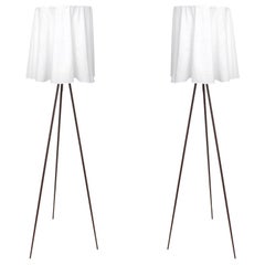 Pair of "Rosy Angelis" Floor Lamps by Philippe Starck for Flos.